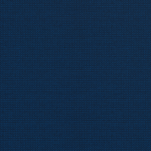 Michelangelo Deep Blue