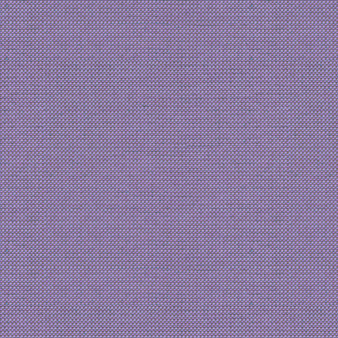 Michelangelo Lilac