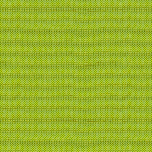 Michelangelo Lime