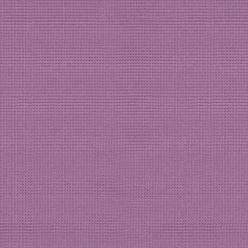 Michelangelo Plum