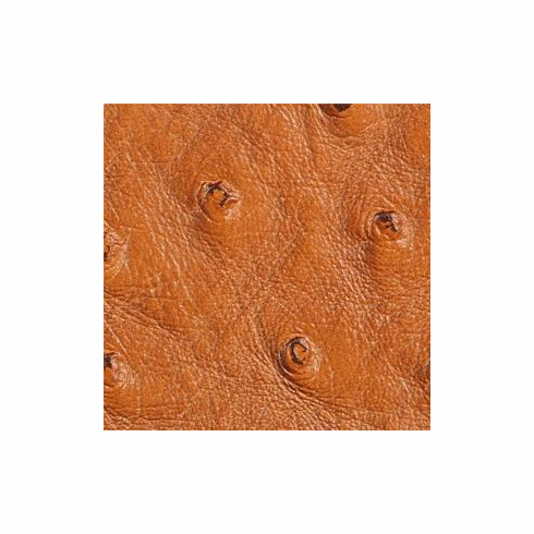 Nuvtex Big Bird "Carmel"