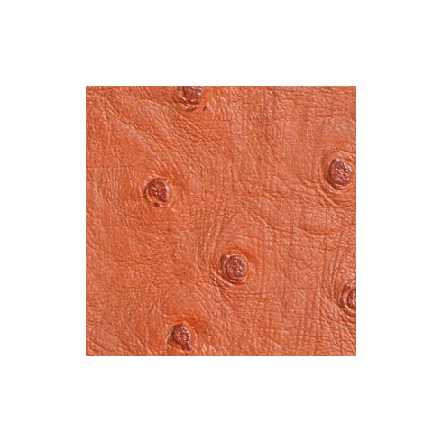 Nuvtex Big Bird "Spice"