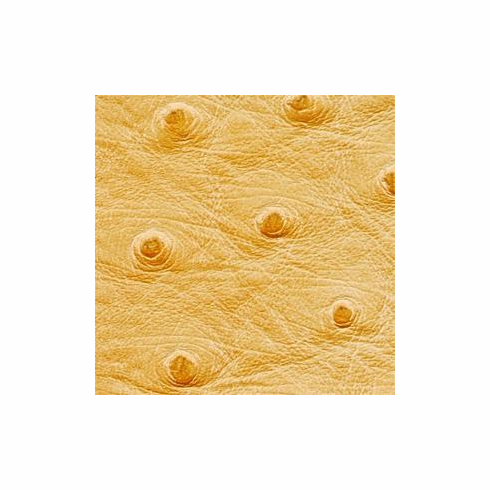 Nuvtex Big Bird "Sunflower"