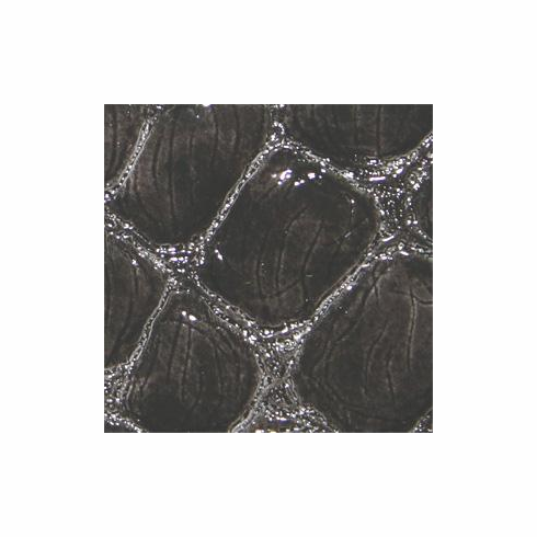 Nuvtex Boa "Onyx"