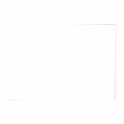 Nuvtex Scorpio "White"