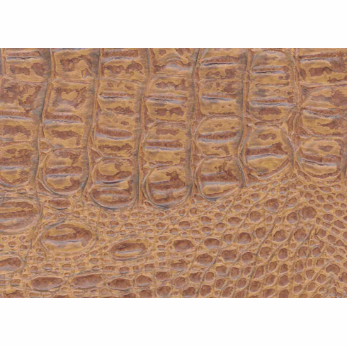 Outback Crocodile "Desert"