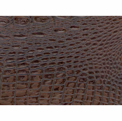 Outback Crocodile "Mocha"