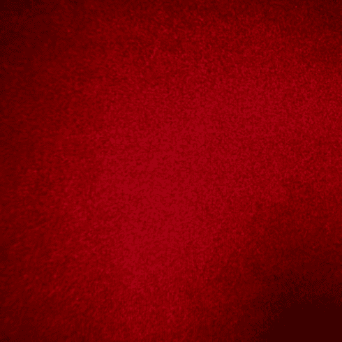 Plush Burgundy