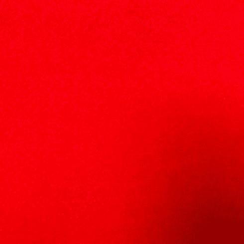 Plush Velvet Red