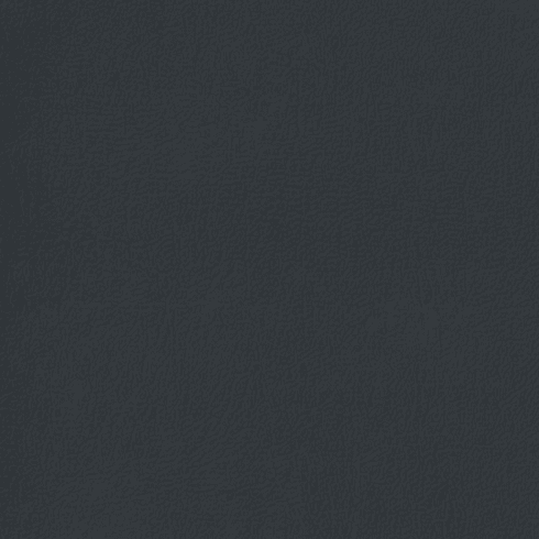 Revolution Caprice Dark Slate