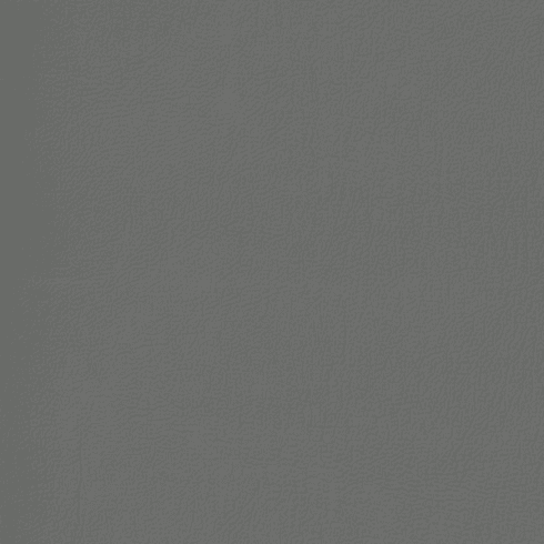 Revolution Caprice Light Slate