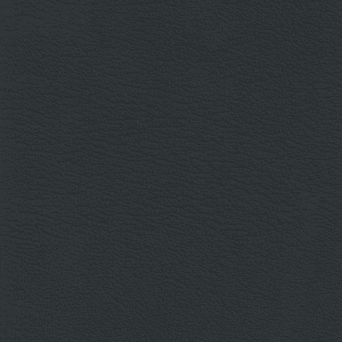 Revolution Corinthian Ebony