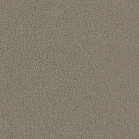 Revolution G-Grain Medium Parchment