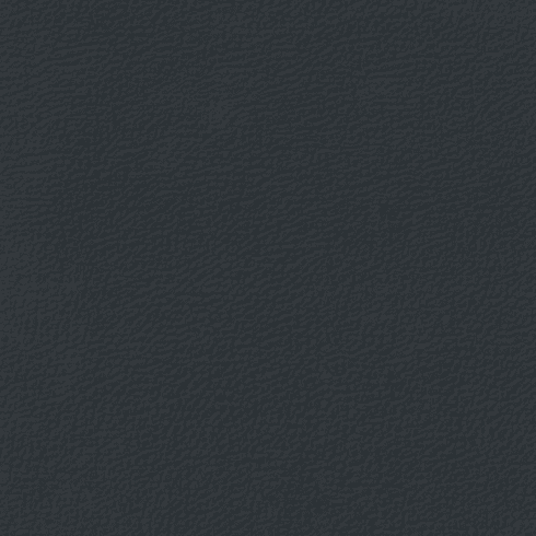 Revolution Longitude Ebony
