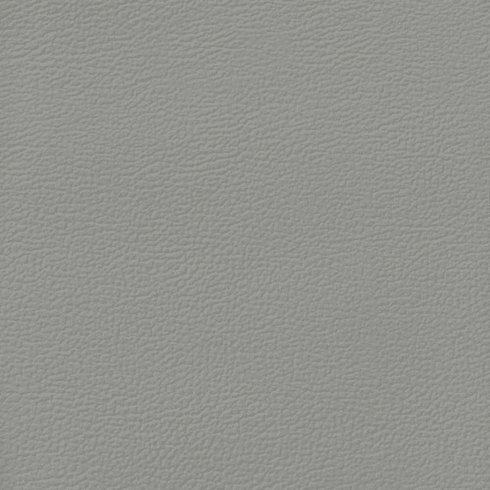 Revolution Longitude Light Titanium
