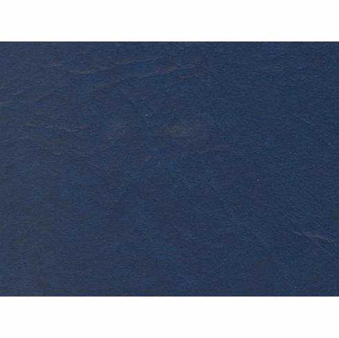 Rogue "Blue"