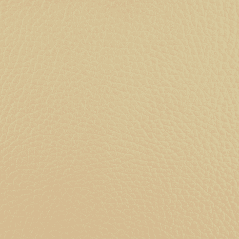 Seascape Serenity Sand Dollar