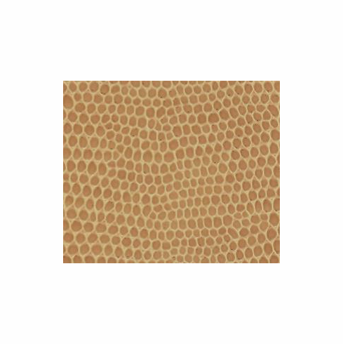 Skintex Snake "Acorn"