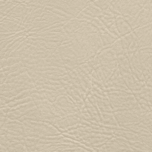 Tradewinds Plus Seashell