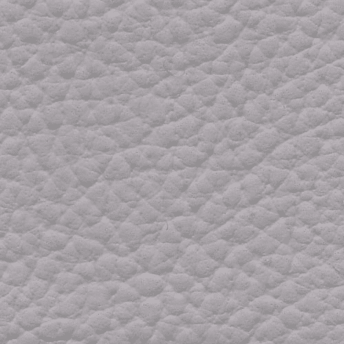 XTREME "Cool Gray"
