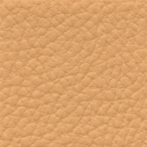 XTREME "Goldenrod"