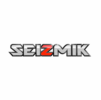 Seizmik