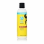 Curls Blueberry Bliss Define N Shine Smoothie 8oz