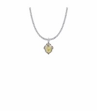 3/4 Inch Sterling Silver Decorative Border Miraculous Medal with November Birthstone Crystal Stones