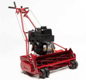 Classic 25 Reel Mower with Briggs & Stratton Engine (No Front Roller) INCLUDES GRASS CATCHER