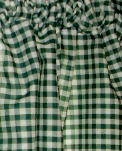 Hunter Green Gingham Fabric Shower Curtain