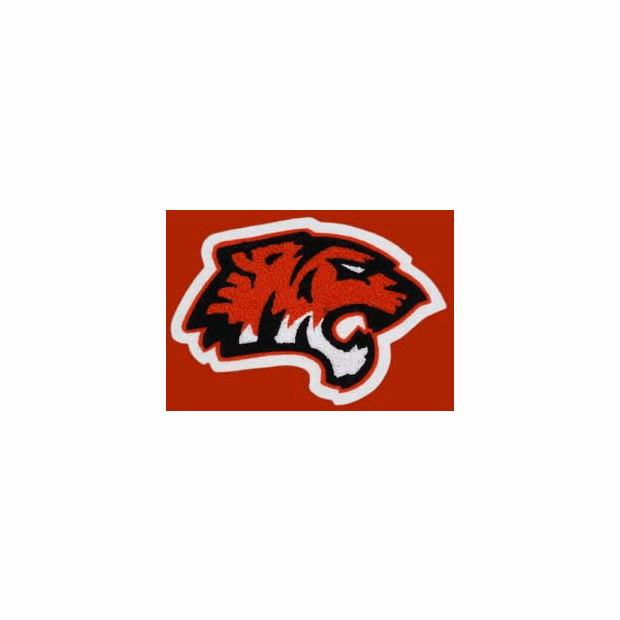 All Chenille Tiger Mascot