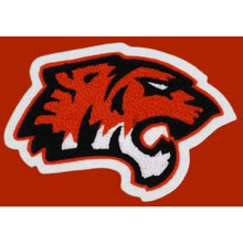 All Chenille Tiger Mascot