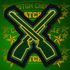 Crossed Rifles Patch
