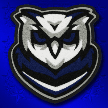 Large Owl Mascot Patch