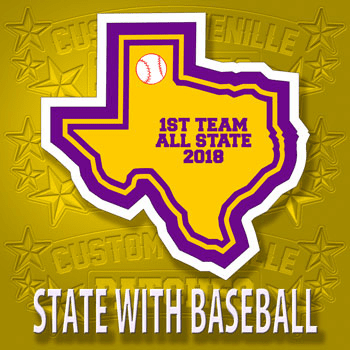 State Patch with Baseball Icon