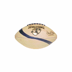 Spalding Arena Footballs