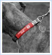 Rescue Facts(TM) Collar ID Straps