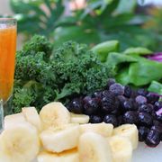 Dr Simeons Diet Protocol FREE Download