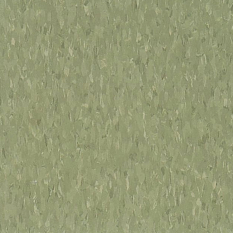 AHF Highlights Green Olive