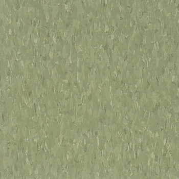 AHF Highlights Green Olive