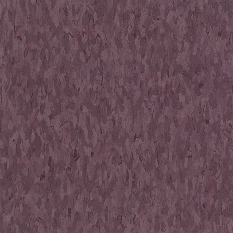 AHF Highlights Phoenix Plum