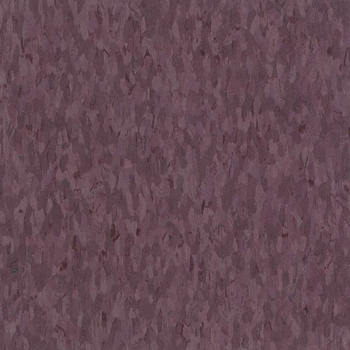 AHF Highlights Phoenix Plum