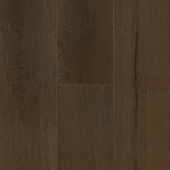 AHF Ingenious Dark Cocoa
