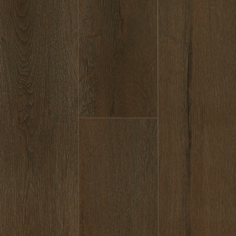 AHF Ingenious Dark Cocoa