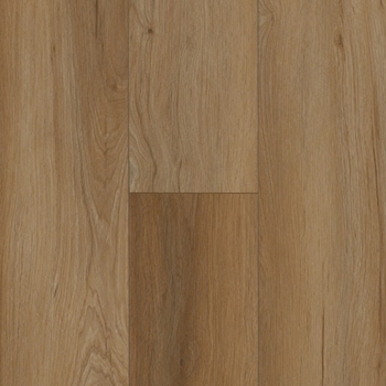 AHF Ingenious Kodiak Brown