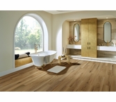 AHF Ingenious Sandbar