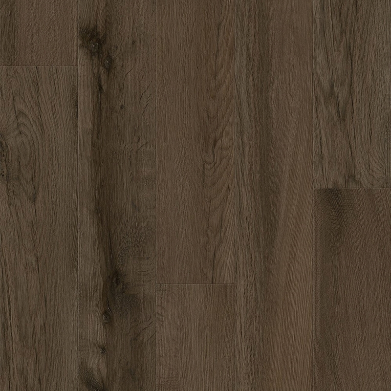 AHF Nod To Nature Loose Lay Bucolic Forest