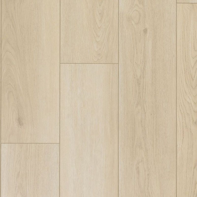 Mohawk Aladdin Bentwood 5.0 Barkley