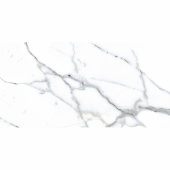 Alfagres Calacata Grey 12" x 24"