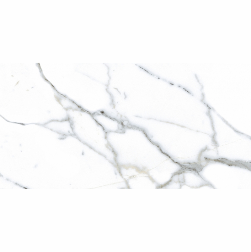 Alfagres Calacata Grey 12" x 24"